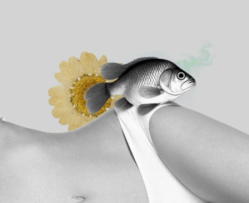 Montagem de uma pessoa com roupa íntima, um peixe e uma flor
